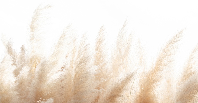 Psychotherapy/Psychothérapie