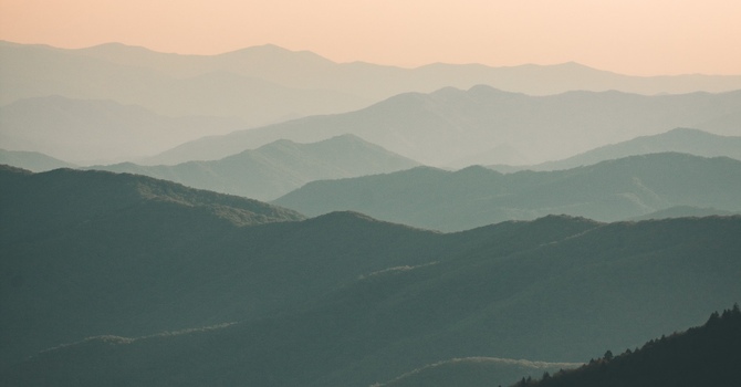 Psychotherapy/Psychothérapie